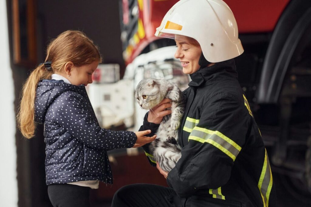 Saving Lives: Vital Role Of Animal Shelters In Pet Rescue Efforts