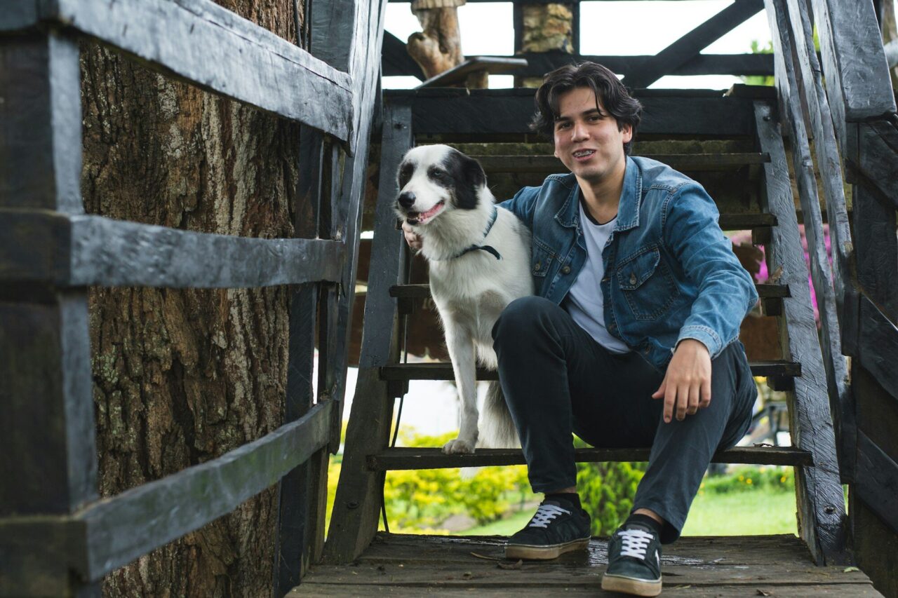 Stray to Home: Stories of Redemption in Animal Shelter Adoptions