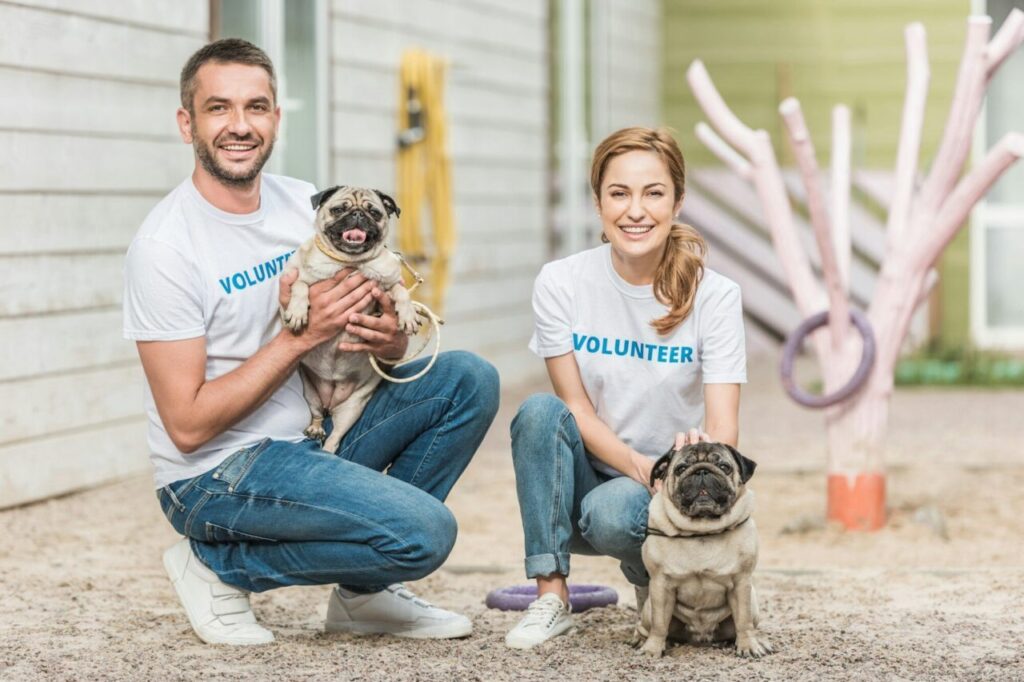 Volunteers’ Impact on Animal Shelters and Pet Rescue Initiatives